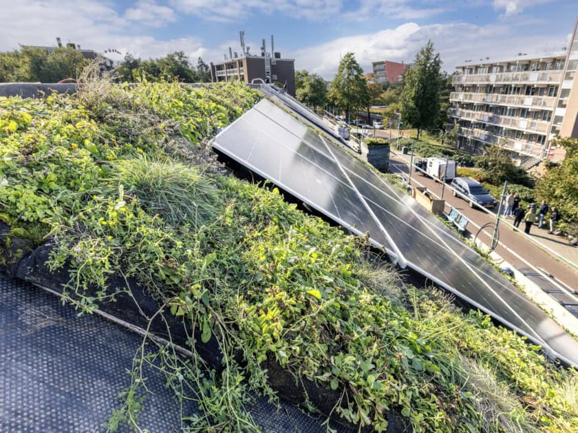 RE-DO Sanierung Bussum