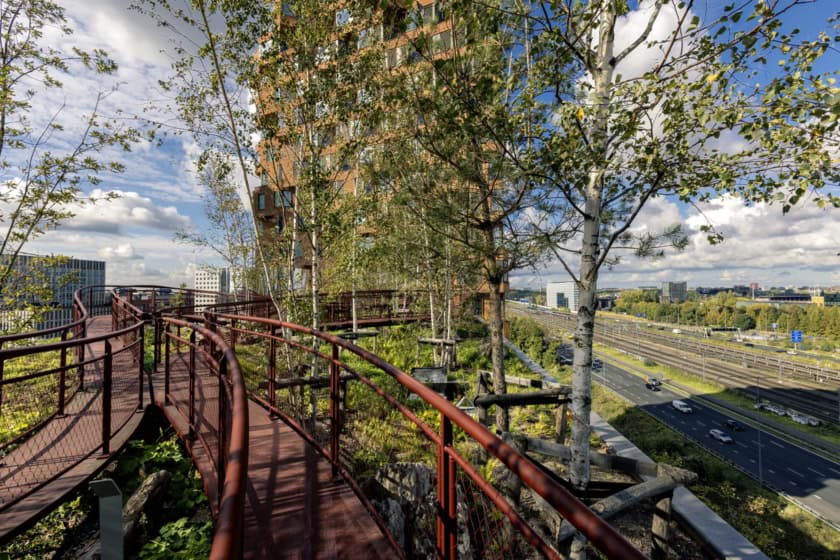 The Pulse of Amsterdam: ‘dak van het jaar’