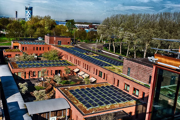 News Article 18.09.25