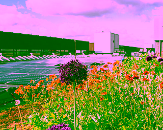 what-we-offer-for-our-customers